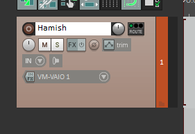 Track name field in Reaper