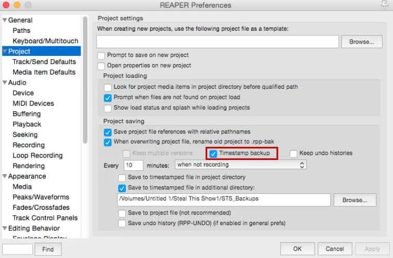 Reaper timestamp backup setting