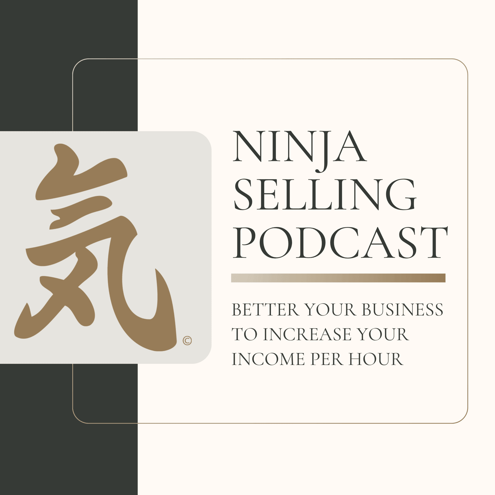 Ninja Selling Podcast artwork